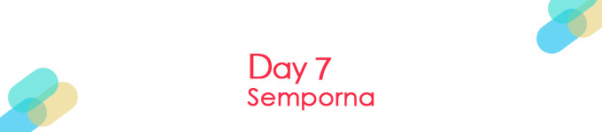 Day 7 休息日 Day 7 休息日