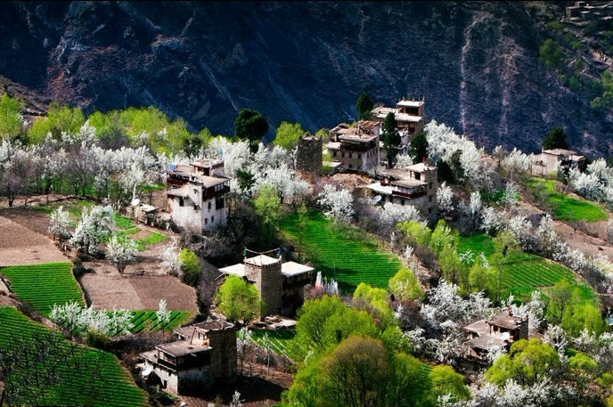 丹巴藏寨 春天图片